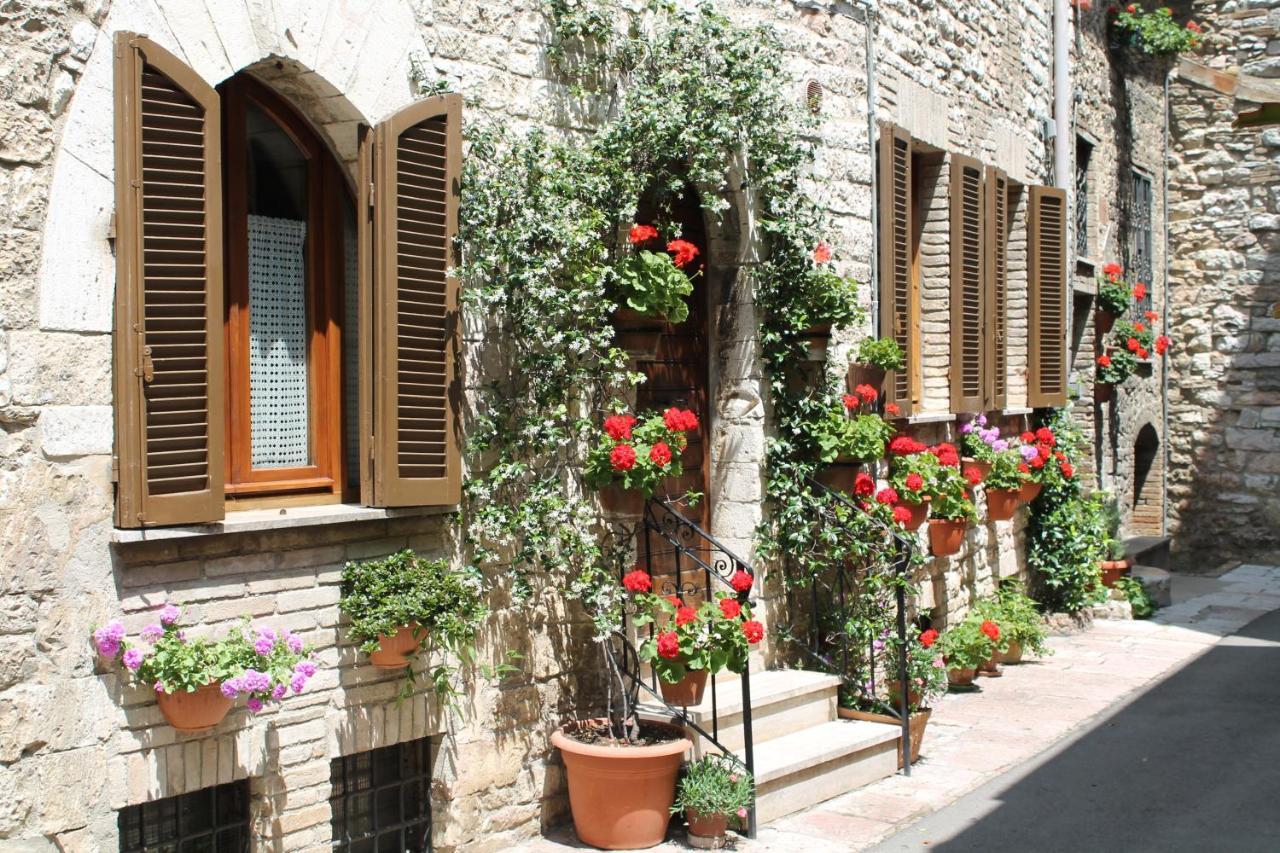Casa Gentile Apartment Assisi