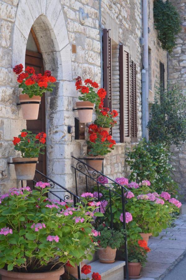 Casa Gentile Apartment *